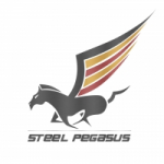 Отзывы людей о Аренда авто в Дубае Steel Pegasus