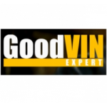 Отзывы людей о GoodVin Expert диагностика автомобилей