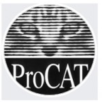 Отзывы людей о Прокат автомобилей procat.com