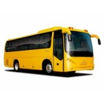 Отзывы людей о Автобусы Голден Драгон