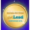 Bitlead.pro нейронная сеть заработка