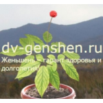 Отзывы людей о dv-genshen.ru