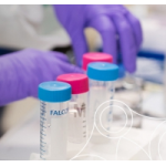 Отзывы людей о Интернет-магазин Mersana