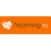 Интернет-магазин Treaming