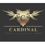 Отзывы людей о Интернет-магазин dvr-cardinal