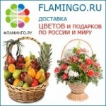 Отзывы людей о Фламинго.ру