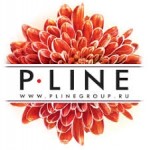 Отзывы людей о PlineGroup