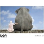 Отзывы людей о UCA Networks