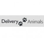 Отзывы людей о Перевозка животных deliveryanimals.ru
