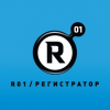 Регистратор R01