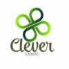 Клевер Логистик (Clever Logistics)