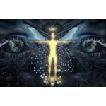 Отзывы людей о Школа Космоэнергетики имени В.А.Петрова