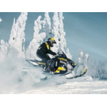 Отзывы людей о Интернет магазин snegohod-steklo.ru