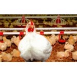 Отзывы людей о ЗАО Приосколье