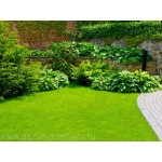 Отзывы людей о Газоны Премиум Москва