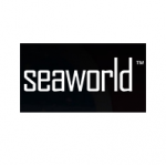 Отзывы людей о Группа компаний Морской мир