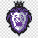 Отзывы людей о strongpush.ru