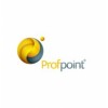 Компания Рrofipoint