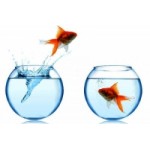 Отзывы людей о Reef City