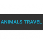 Отзывы людей о Animals Travel - перевозка животных