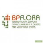 Отзывы людей о Компания BPFlora