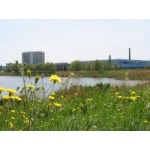 Отзывы людей о Азовский комбинат детского питания