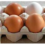 Отзывы людей о "Щелковская птицефабрика" ЗАО