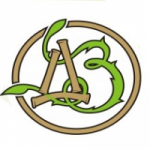 Отзывы людей о Ортопедический салон Дом Здоровья