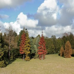 Отзывы людей о Культурно-оздоровительный центр «Источник молодости» (Краснодар, ул.Кузнечная 21)