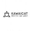 KAWAICAT белая студия