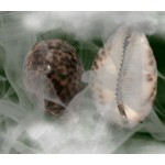 Отзывы людей о Колдун Дабор из Казани