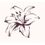 Отзывы людей о Интернет-магазин Белая Лилия