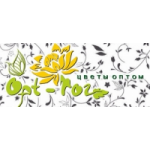 Отзывы людей о opt-roz.ru (опт-роз)