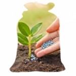 Отзывы людей о Питомник растений Cash & Carry