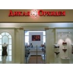 Отзывы людей о Магазины "Дикая Орхидея"