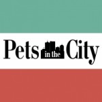 Отзывы людей о Интернет-магазин товаров для животных City-Pets.ru