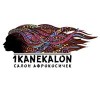 1KANEKALON.RU интернет-магазин