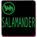 Отзывы людей о Обувь Salamander