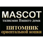 Отзывы людей о Питомник ориентальной кошки Mascot