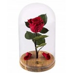 Отзывы людей о Роза в стеклянной колбе