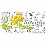 Отзывы людей о Интернет-магазине "ОПТ-РОЗ"