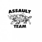 Отзывы людей о assault-team.ru интернет-магазин