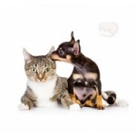 Отзывы людей о Центр ветеринарной клиники на Каховке