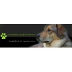 Отзывы людей о Алтуфьево Био-Вет