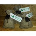 Отзывы людей о Верминал