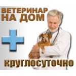 Кидалово ВетДруг