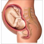 Отзывы людей о Беременность