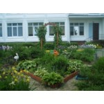 Отзывы людей о Детский сад № 1249, Москва