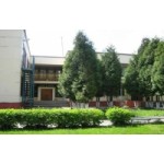 Отзывы людей о Детский сад № 388, Москва