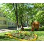 Отзывы людей о Детский сад № 446 в Москве